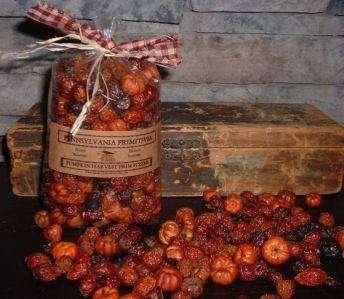 Pumpkin Harvest Fixens